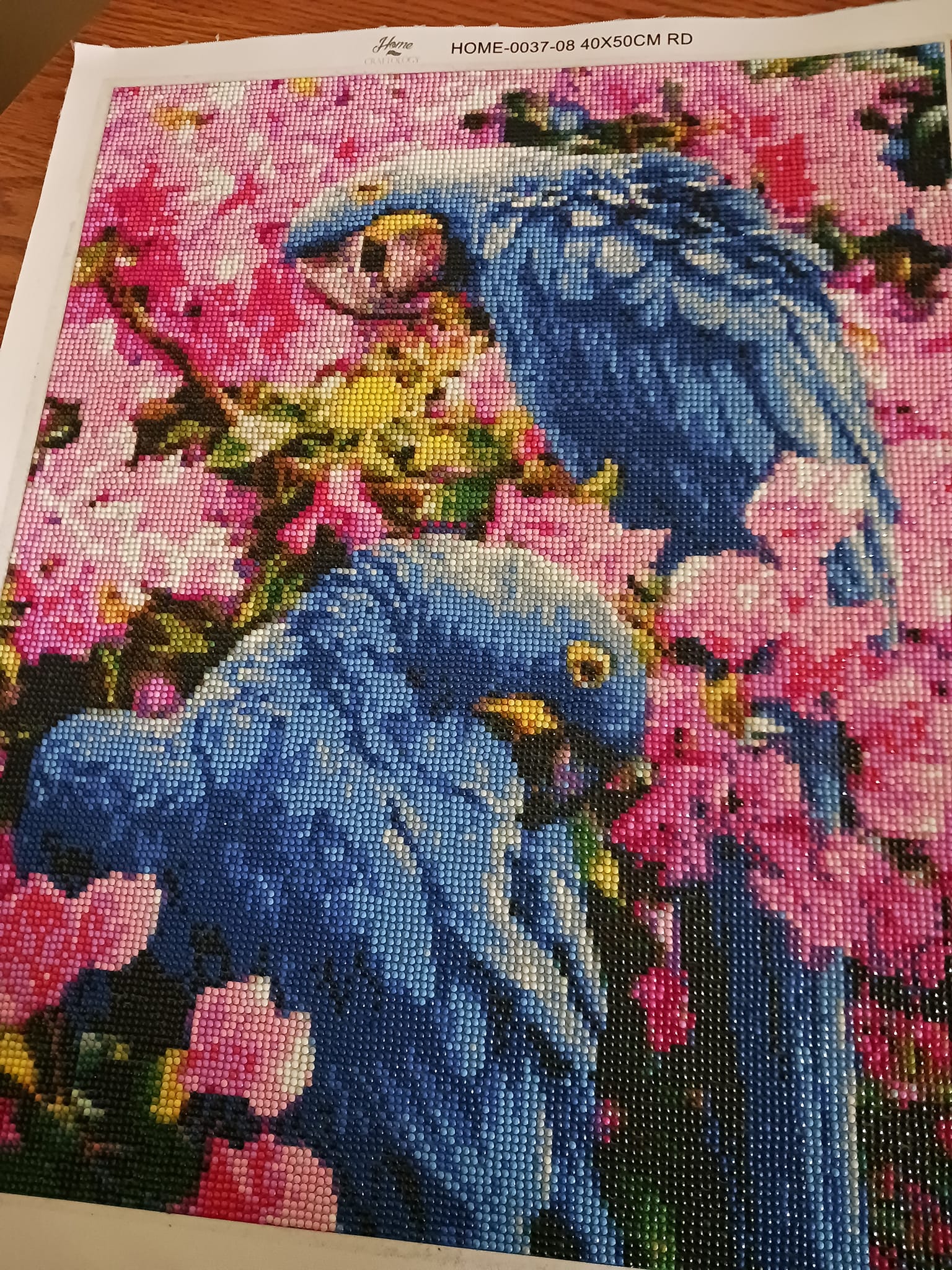 Diamond Painting Newsletter European Countries Home Craftology